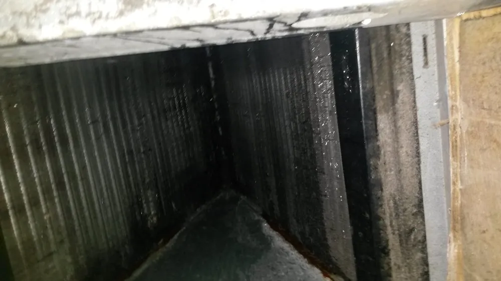 Slide of Dynamic Air of SW Florida