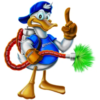 Slide of Dynasty Duct