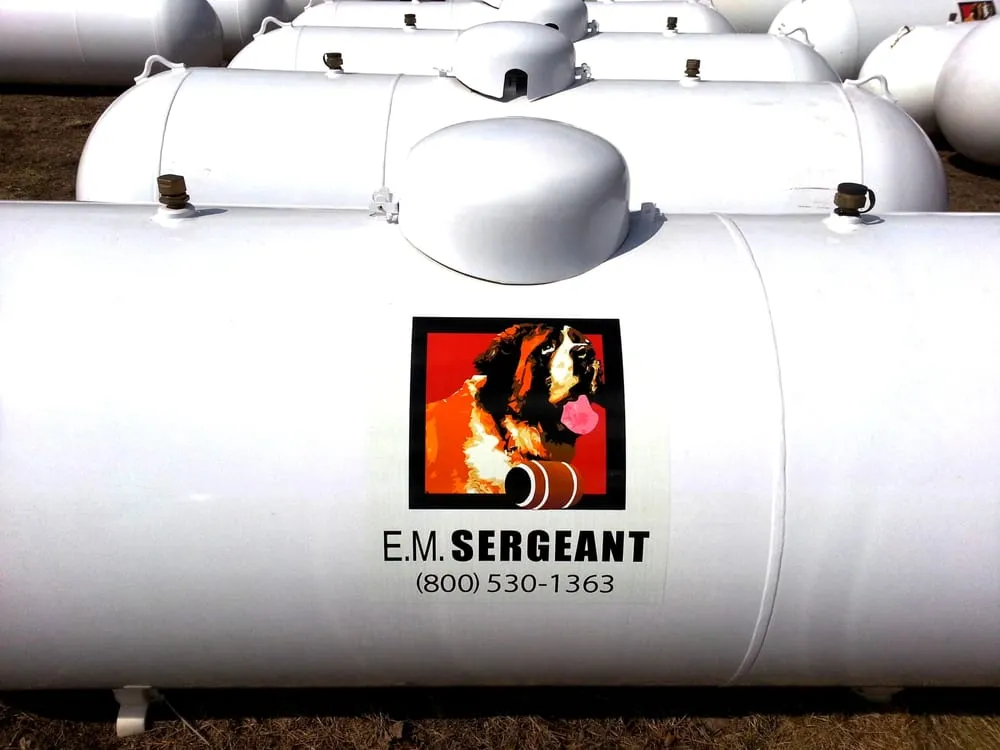 Slide of E M Sergeant