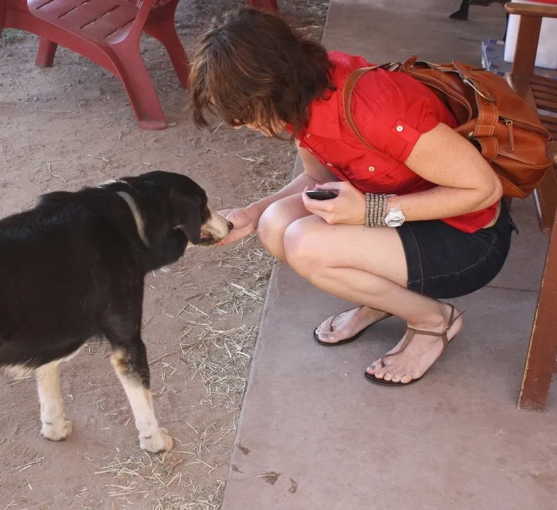 Slide of E-ZZ Air Duct Services