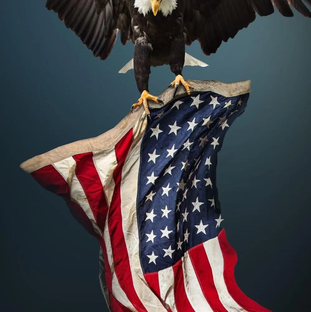 Slide of Eagle Air United