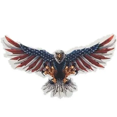 Slide of Eagle Air United