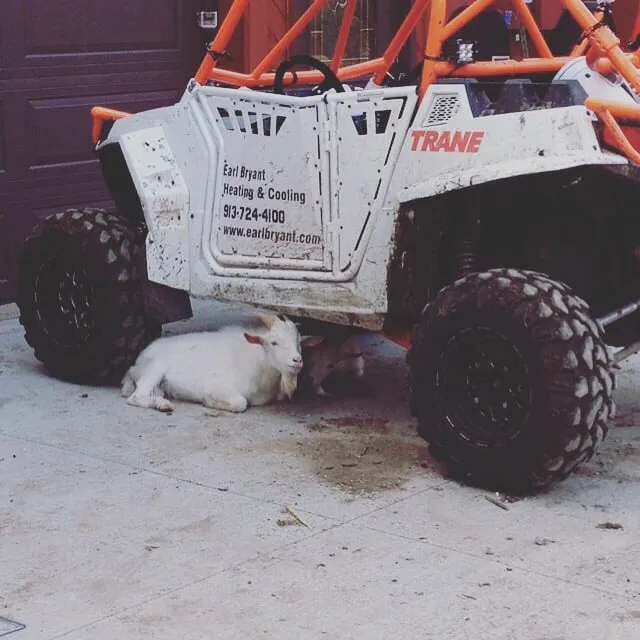 Slide of Earl Bryant Heating & AC