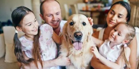 Earnhardt Heating & Cooling