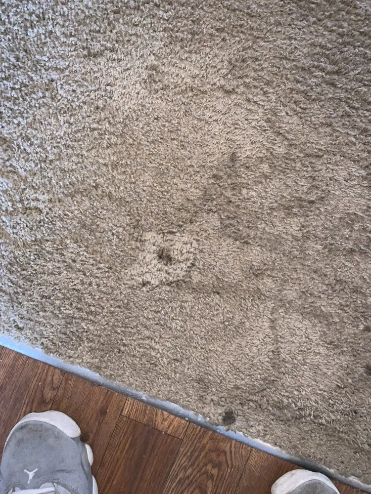 Slide of Easley Repairs