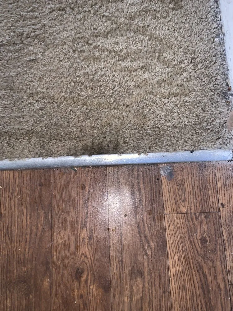 Slide of Easley Repairs