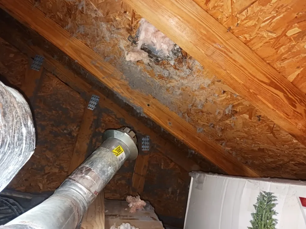 Slide of Eclair Duct Cleaning