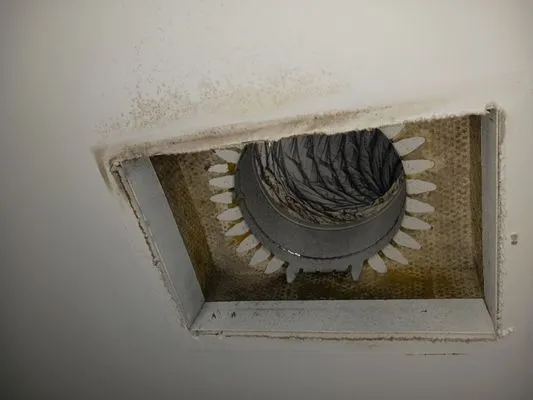 Eclair Duct Cleaning