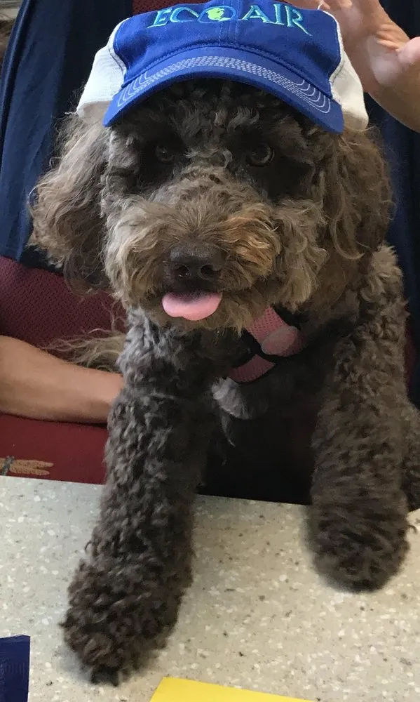 Slide of Eco Air of SWFL