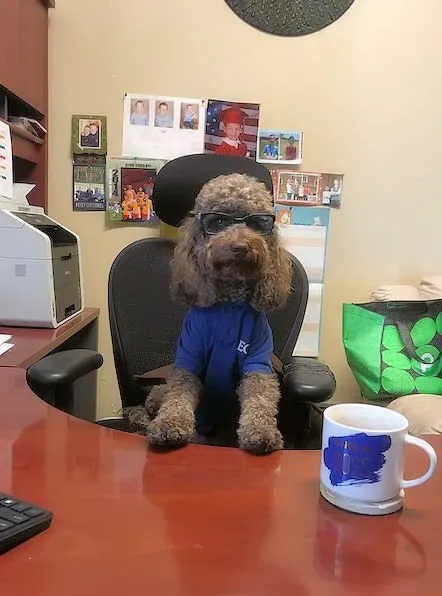 Slide of Eco Air of SWFL