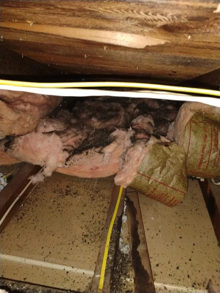 Slide of Eco Energy Bay Area