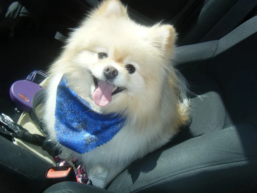 Slide of Eco Energy Bay Area