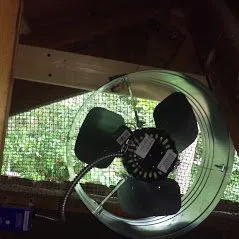 Slide of Eco Friendly Services