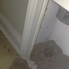 Slide of Eco Friendly Services