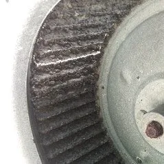 Slide of Eco Friendly Services