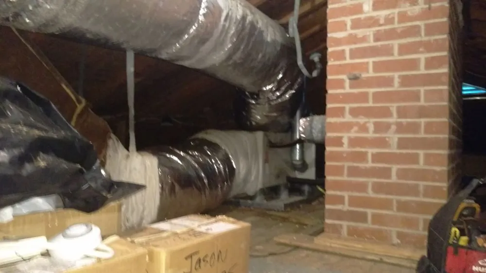 Slide of Eco Friendly Services