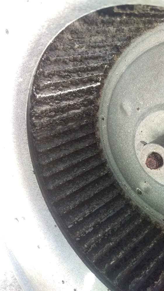 Slide of Eco Friendly Services