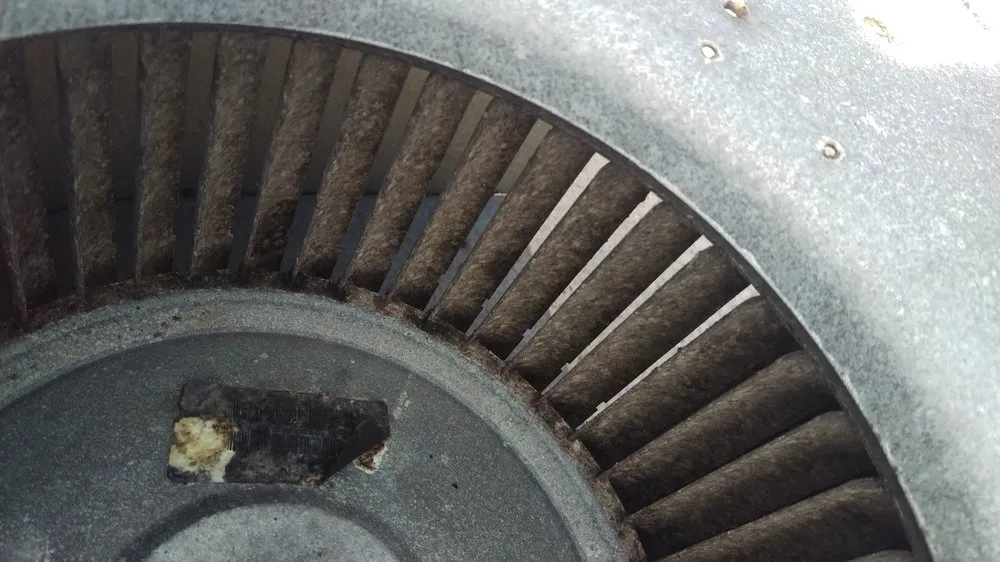 Slide of Eco Friendly Services