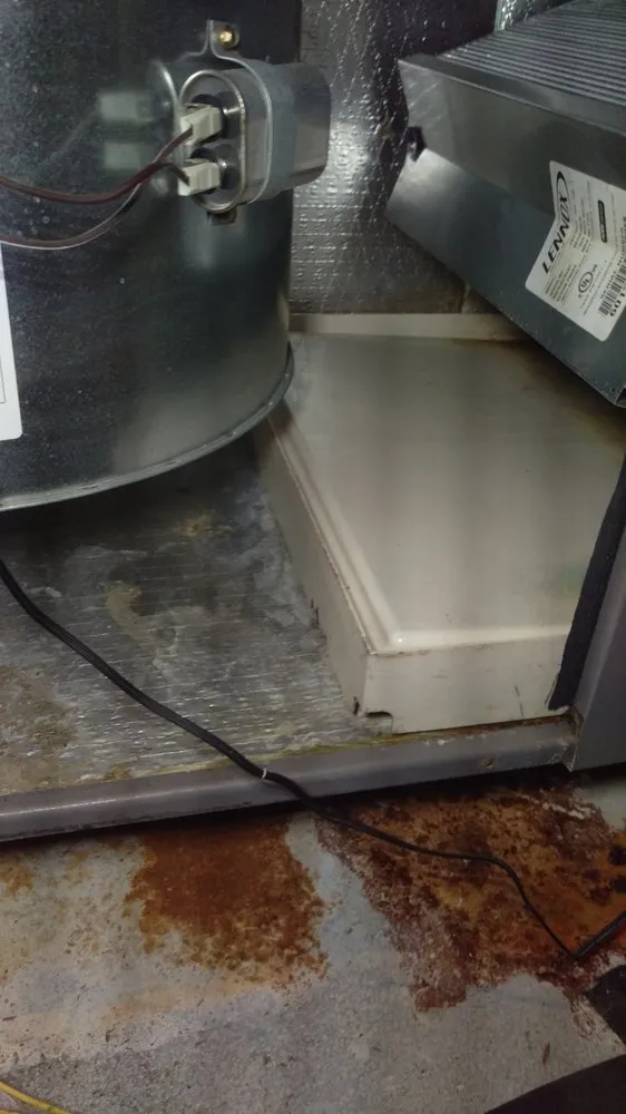 Slide of Eco Friendly Services Florida