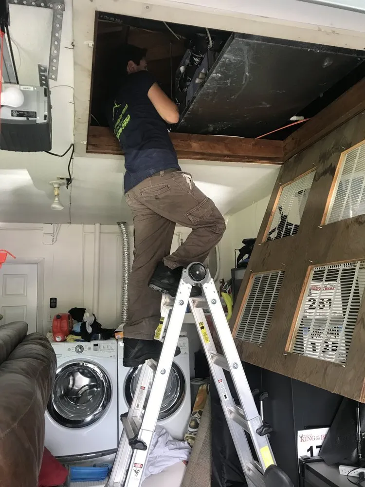 Slide of Eco Friendly Services Florida