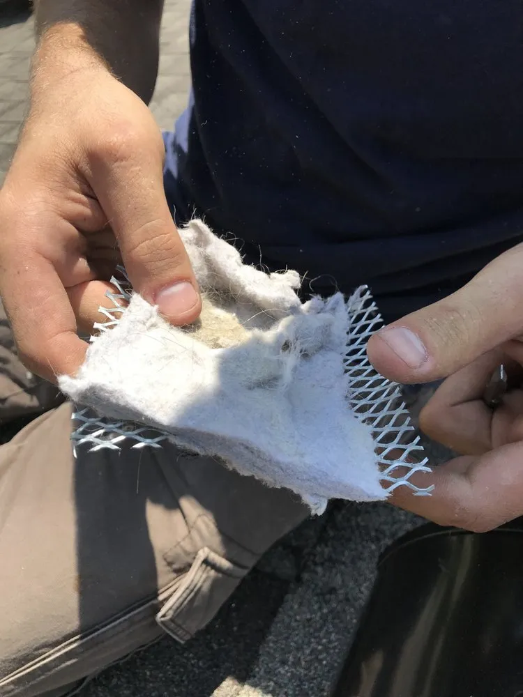 Slide of Eco Friendly Services Florida