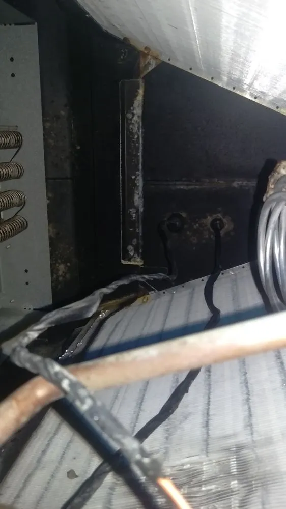 Slide of Eco Friendly Services Florida