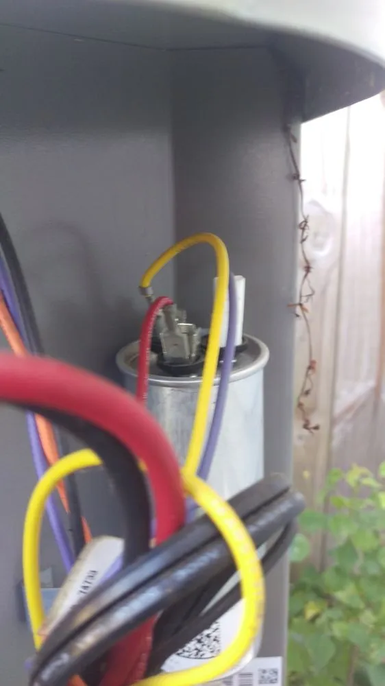 Slide of Eco Friendly Services Florida