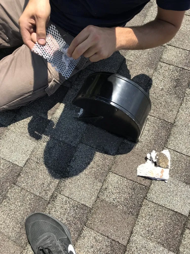 Slide of Eco Friendly Services Florida