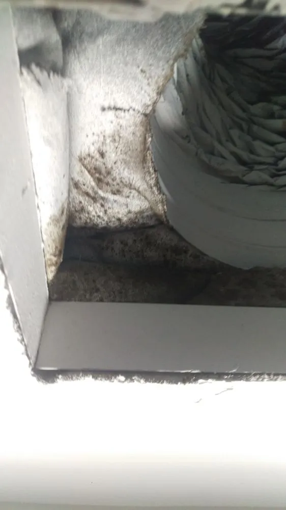 Slide of Eco Friendly Services Florida