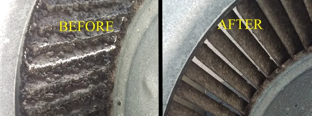 Slide of Eco Friendly Services Florida