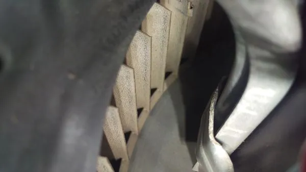 Eco Friendly Services Florida Logo