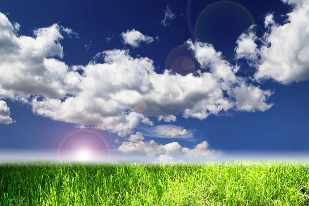 Slide of Eco Smart Contractor