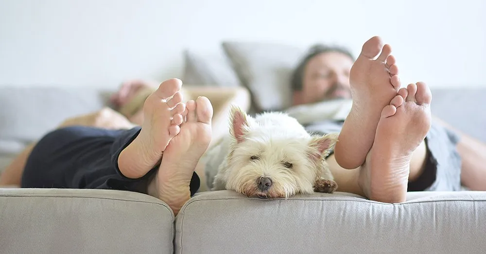 Slide of EcoGreen Home Services