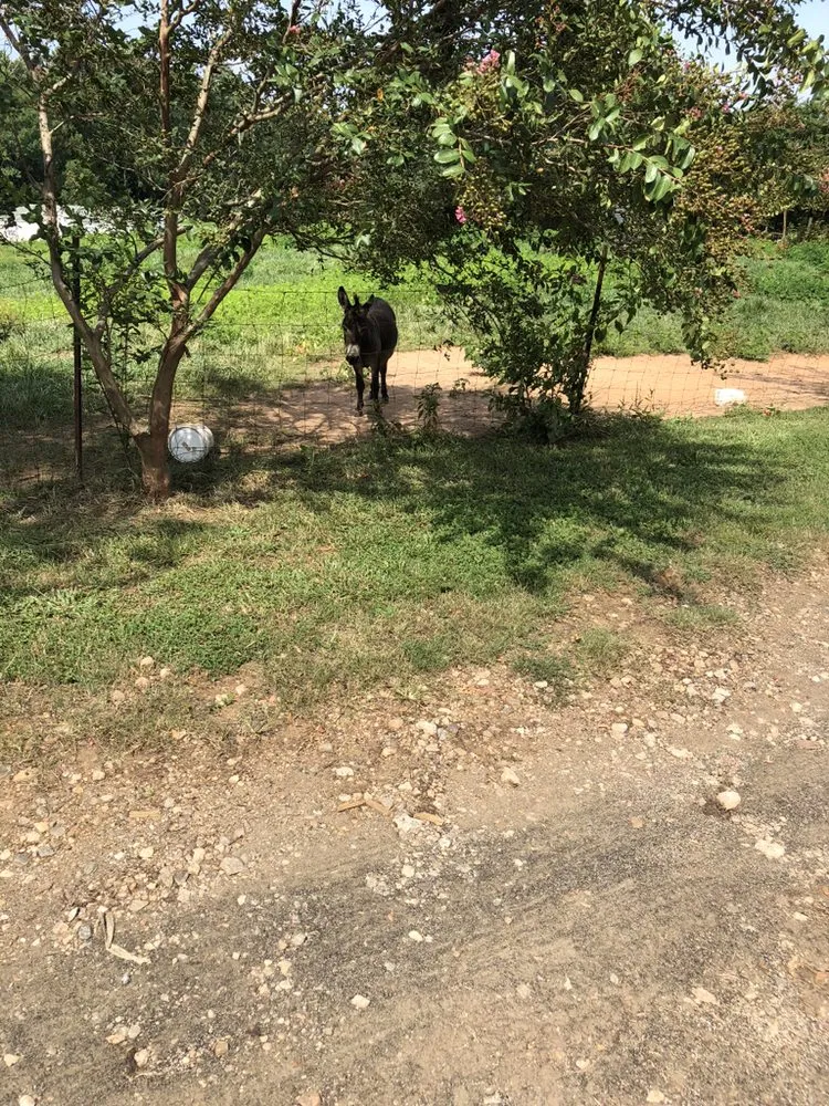 Slide of Economy Heating & Air