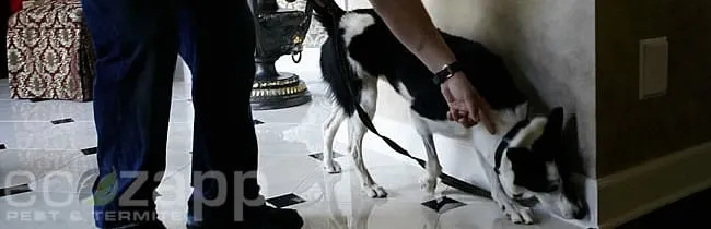 Slide of EcoZapp A/C Efficiency