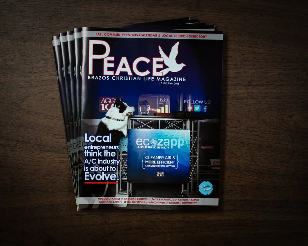 Slide of EcoZapp A/C Efficiency