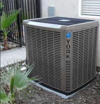 Slide of Ed & Ed Brothers