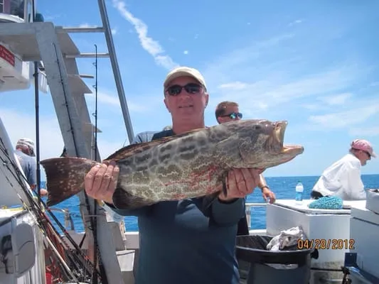 Ed Hainline Inc. Refrigeration & Air Conditioning Logo