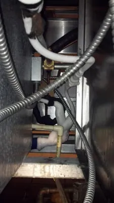 EDCO Environmental Services