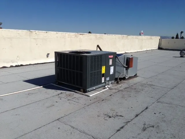 Slide of Edgar's Services