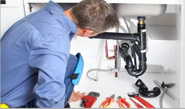 Slide of Edmond J Adams & Sons