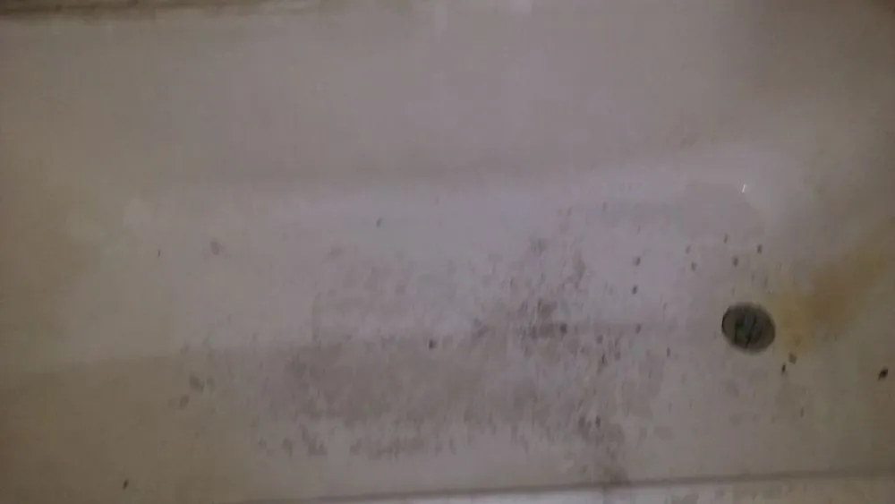 Slide of Ed's Handyman Services