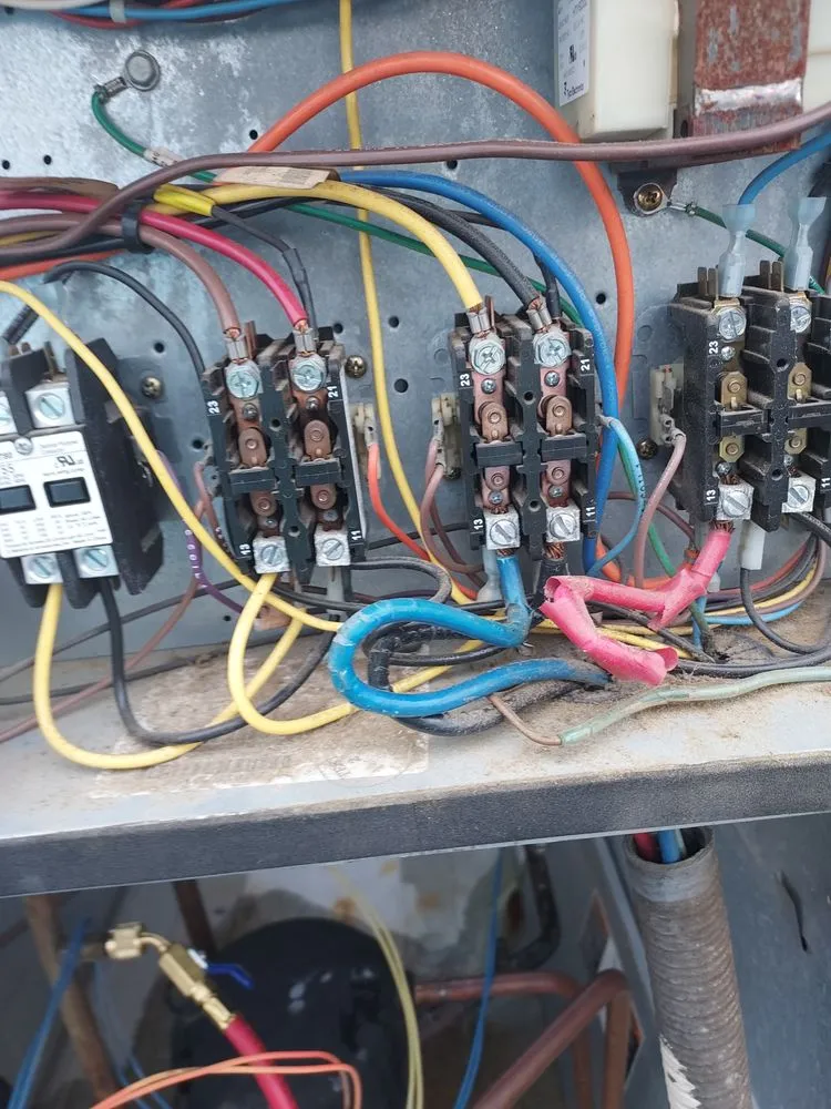 Slide of Eduardo Cruz  Nate Technician