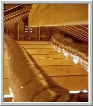 Slide of Edward W Zane