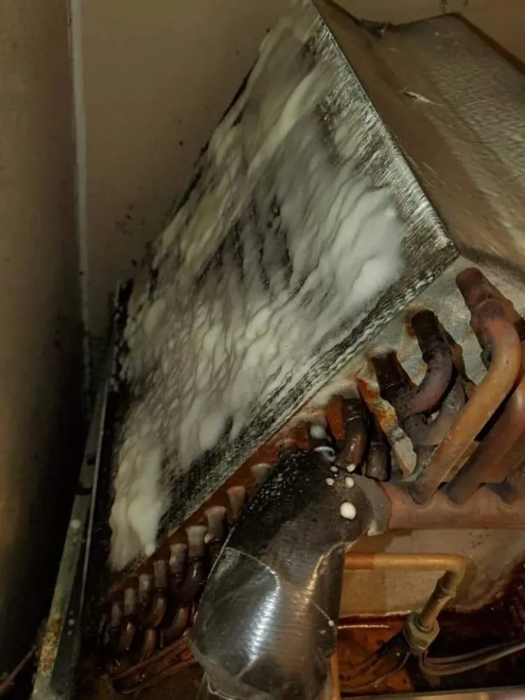 Slide of Edwards & Family home Services