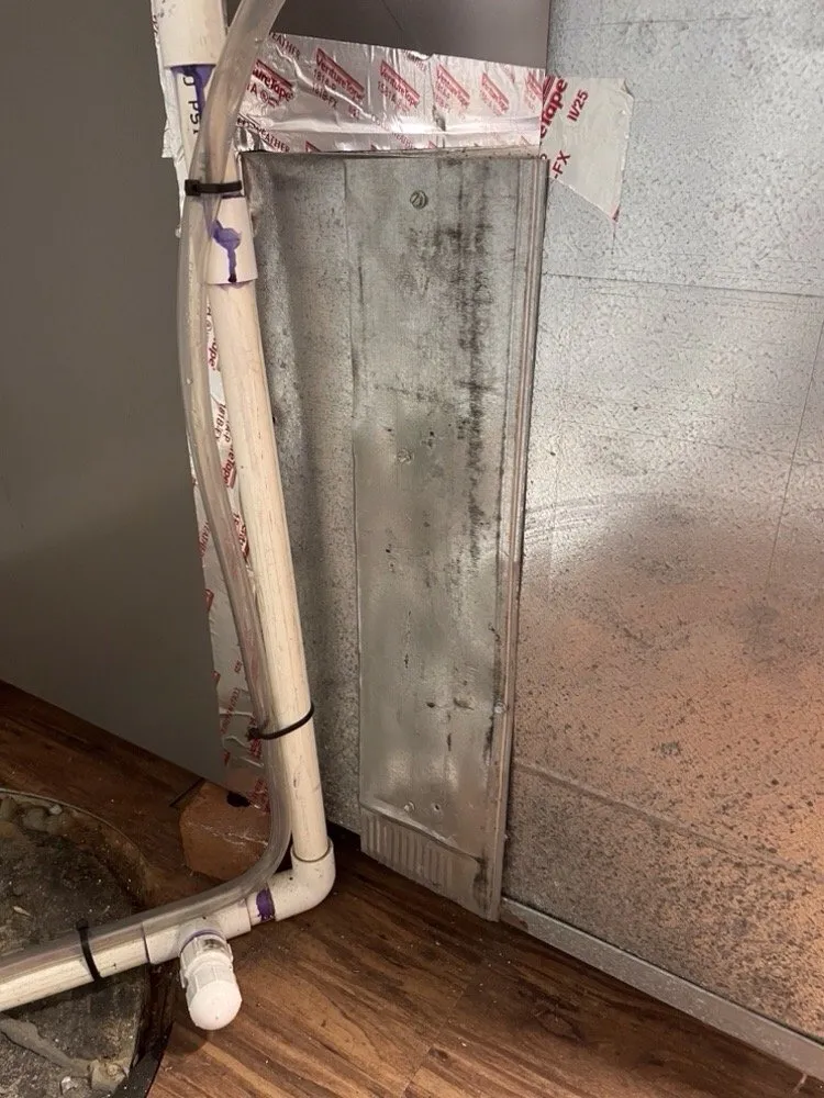 Slide of Edwin Stipe