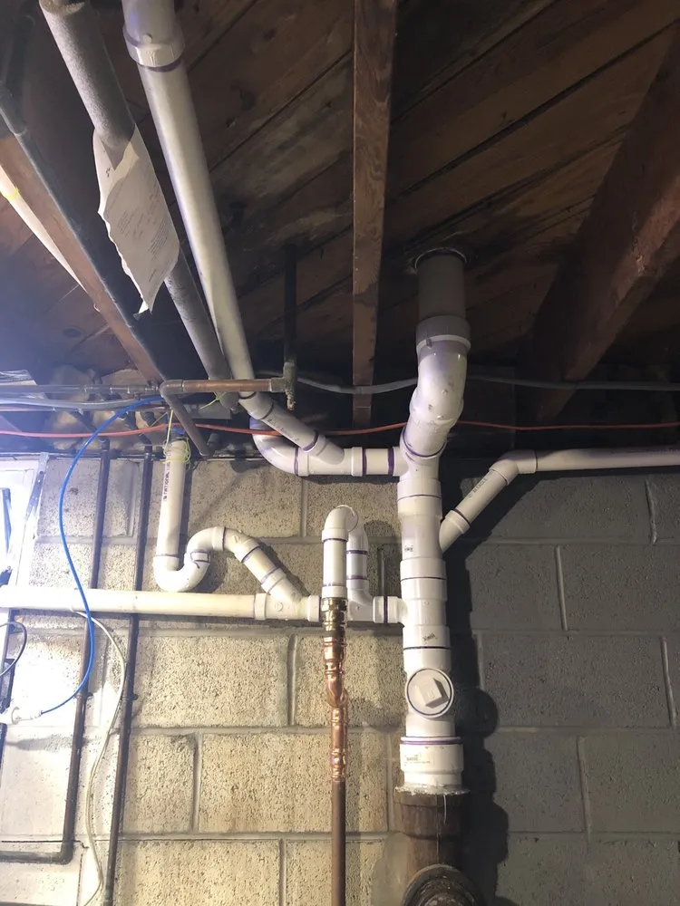 Slide of Edwin Stipe