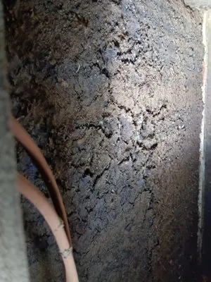 Efficient Atmosphere