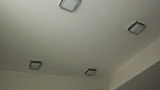 Slide of Egon Wong - The Handyman