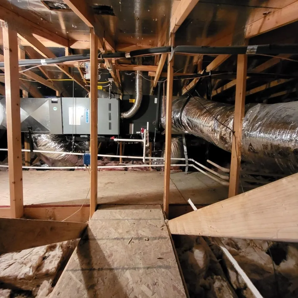 Slide of Einstein Cooling Vegas